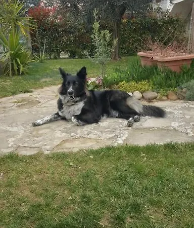 Bed & Breakfast Da Fiore Castel Bolognese