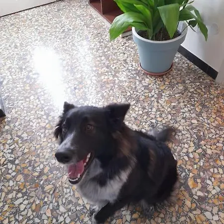 Da Fiore Bed & Breakfast *