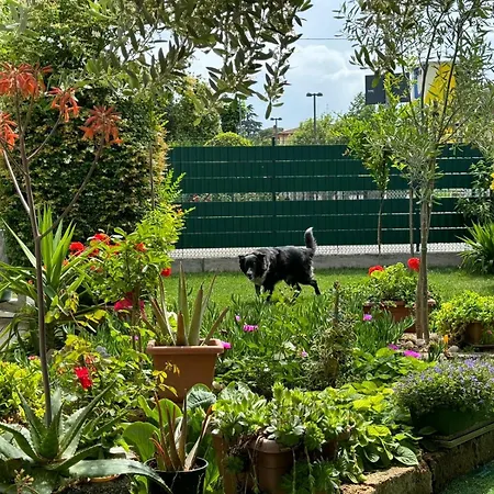 Da Fiore Bed & Breakfast Castel Bolognese