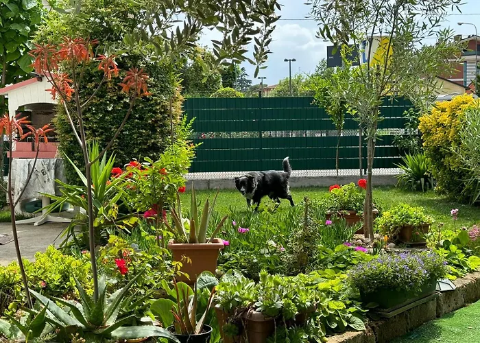 Da Fiore Bed & Breakfast Castel Bolognese